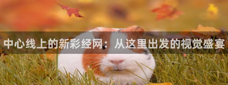 风暴娱乐网址在线登录：中心线上的新彩经网：从这里出发的视觉盛宴