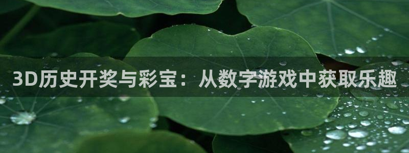 风暴娱乐平台招商：3D历史开奖与彩宝：从数字游戏中获取乐趣