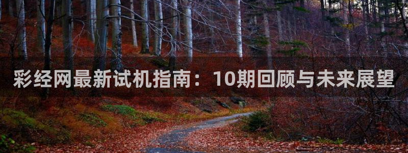 风暴娱乐4平台注册：彩经网最新试机指南：10期回顾与未来展望