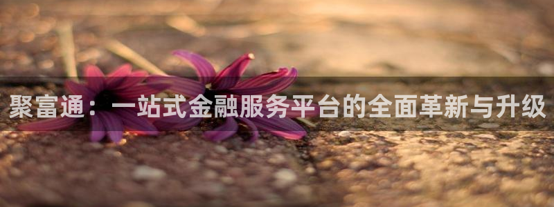 风暴娱乐产品界面重塑.快速访问：聚富通：一站式金融服务平台的全面革新与升级